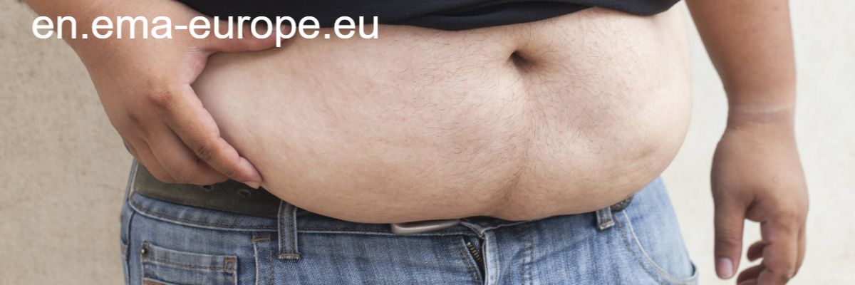 en.ema-europe.eu